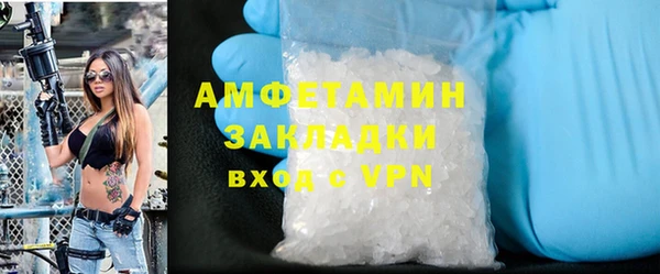 прущие грибы Гвардейск