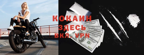 крисы Новодвинск
