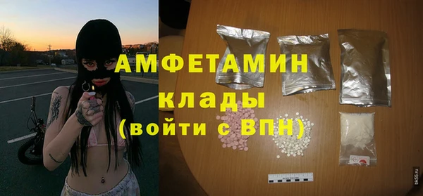 хмурый Новозыбков