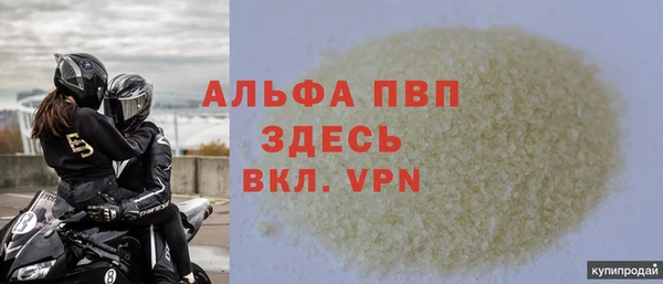 винт Галич