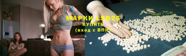 крисы Нея