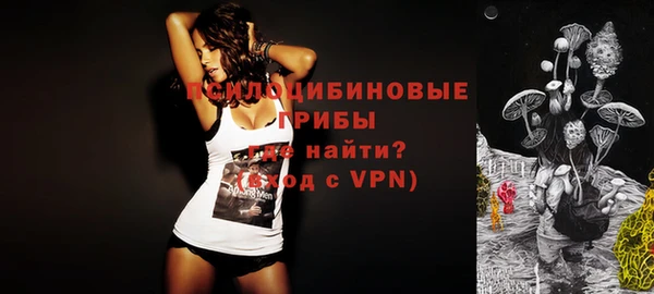 прущая мука Няндома