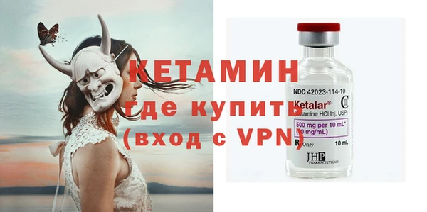 прущие грибы Гвардейск
