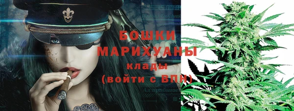 крисы Новодвинск