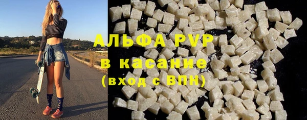 хмурый Новозыбков
