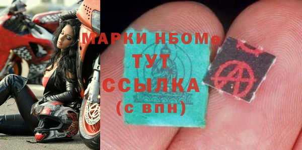 хмурый Новозыбков