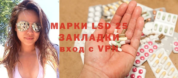 крисы Новодвинск